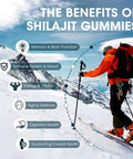 Himalayan Shilajit Gummies With 85+ Trace Minerals & Fulvic Acid For Energy, Immune, Cognitive Support High Potency Pure Natural Shilajit Supplement For Men & Women 60 Gummies