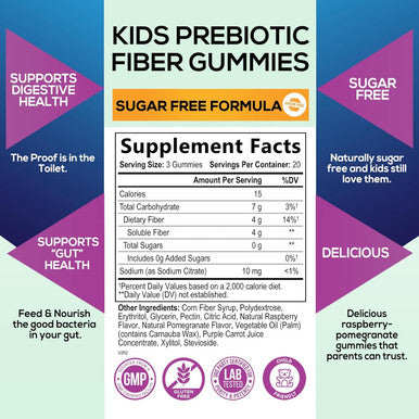 Nature'S Nutrition Kids Fiber Supplement Gummies - No Sugar Added 4g Prebiotic Plant-Based Fiber Blend to Support Kids Regularity Digestive Health & Immune Support - Vegan Raspberry Flavored Gummy Bears - 60 Gummies