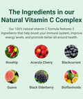 Hey Nutrition Natural Vitamin C 250mg Complex from Rosehip Acerola Blackcurrant Guava and Elderberry - Immune Function Stress Metabolic Health & Fatigue - Non-GMO 60 Vegan Capsules