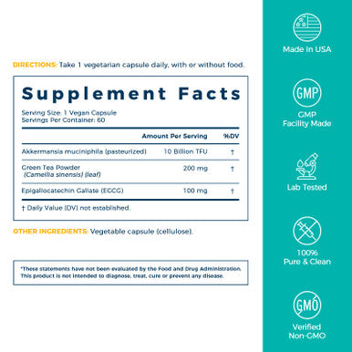 NewRhythm Akkermansia Muciniphila Probiotic 10 Billion TFU Pasteurized Maximum Stability Green Tea Leaf EGCG GLP-1 Production Metabolic Health Gut Immunity for Women & Men 60 Caps