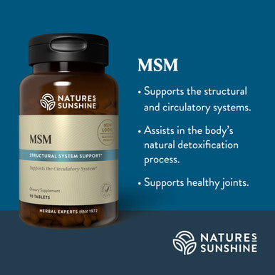 Nature'S Sunshine MSM 90 Tablets