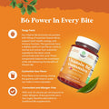 Natures Craft Potent Vitamin B6 Gummies for Adults - Vitamin B6 50mg Per Serving Gummy Vitamins for Women and Men for Immune Nerve and Mood Support - Vegan Kosher B6 Vitamins Gummies for Women and Men - 30 count