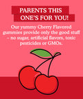 Garden of Life Kids Immune Support Gummies With Vitamin C D As D3 & Zinc For 3-In-1 Daily Children S Immunity Organic Non-Gmo Gluten-Free Vegetarian Sugar Free Cherry Flavor 30 Day Supply