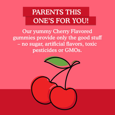 Garden of Life Kids Immune Support Gummies With Vitamin C D As D3 & Zinc For 3-In-1 Daily Children S Immunity Organic Non-Gmo Gluten-Free Vegetarian Sugar Free Cherry Flavor 30 Day Supply