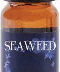 Mystic Moments | Seaweed Fragrance Oil - 10ml