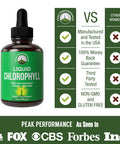 Chlorophyll Liquid Drops - Vegan, Non-Gmo, Gluten Free Liquid Chlorophyll Drops For Water. Supplement For Energy, Skin Care, Immu