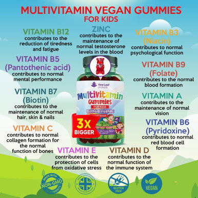 New Leaf Products Multivitamins for Children Kids Multivitamin Gummies SIX Months Plus Zinc Vegan Essential Vitamins A B3 B5 B6 B7 B9 B12 C D E with Minerals Gelatine- Multivits for Kids GMP Chewable