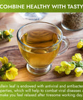HERBALICIOUS Mullein Leaf Tea Bags For Lungs Cleanse, Detox & Respiratory Support - Caffeine Free Natural Mullein Herbal Tea - 100% Pure Non-Gmo And Gluten Free Mullein Tea - 30 Tea Bags