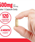 Force Factor Boswellia Extract Capsules Immune Support Supplement and Joint Health Supplement for Women and Men Made with Premium Boswellia Serrata Extract Vegan Non-GMO 120 Capsules