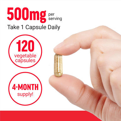 Force Factor Boswellia Extract Capsules Immune Support Supplement and Joint Health Supplement for Women and Men Made with Premium Boswellia Serrata Extract Vegan Non-GMO 120 Capsules