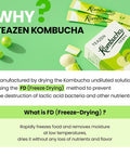 Teazen 4 Flavors 40 Sticks Variety Pack Kombucha Peach Pineapple Mango Guava Shine Muscat Flavor (40 Sticks)