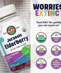 KAL Jurassic Elderberry Kids Gummies | Healthy Immune Support | USDA Organic, Vegan, Gluten | 30 Serv, 60 Ct