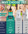 owegel Berberine HCL Supplement with Ceylon Cinnamon - Highly Absorbable Liposomal Berberine Liquid Drops 3000mg- 12 in 1 Natural Ingredients - AMPK Activator - 2 Fl Oz
