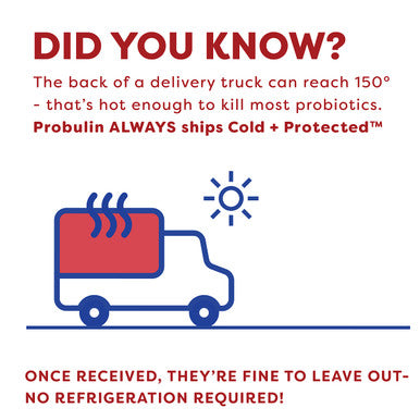 Probulin Colon Support Probiotic 30 Capsules