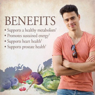 Garden of Life mykind Organics Whole Food Multivitamin for Men, 120 Tablets, Vegan Mens Vitamins and Minerals for Mens Health and Well-being, Certified Organic Vegan Mens Multi