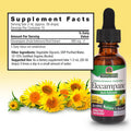 Nature'S Answer Elecampane Root with Organic Alcohol 1-Fluid Ounce | Respiratory Support | Promotes Healthy Lungs