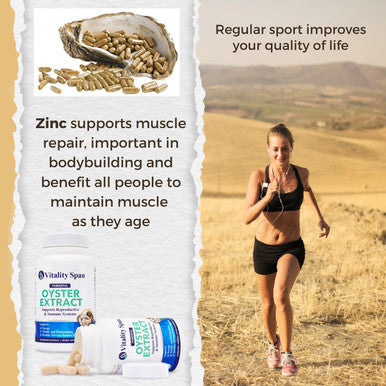 Oyster Extract Pure Highly Concentrated Supplement For Men and Women Supports Energy and Immune Boost Zinc Taurine Amino Acids And Vitamins 500 Mg 60 Veg Capsules Made In Usa