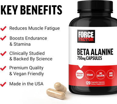 Force Factor Beta Alanine Capsules Beta-Alanine Endurance Supplement to Boost Performance & Reduce Fatigue Clinical Dose Premium Quality Vegan Non-GMO 120 Capsules