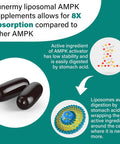 Liposomal Ampk Activator 2000 Mg - High Bioavailability Berberine Hcl,Dim,Milk Thistle,And Cinnamon Bark Capsule 6-In-1 Ampk Supplements For Antioxidant Support And Cellular Regulation, 60 Softgels