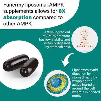 Liposomal Ampk Activator 2000 Mg - High Bioavailability Berberine Hcl,Dim,Milk Thistle,And Cinnamon Bark Capsule 6-In-1 Ampk Supplements For Antioxidant Support And Cellular Regulation, 60 Softgels