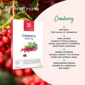 Healthspan Cranberry 10,000mg | 120 Tablets | 10,000mg Whole Cranberries | Added Vitamin C | Immune Health | Vegan
