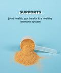 Ancient Nutrition Bone Broth Protein Turmeric 20 Servings