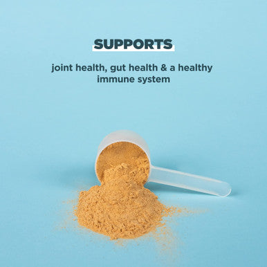 Ancient Nutrition Bone Broth Protein Turmeric 20 Servings