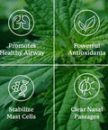 Nature'S Sunshine HistaBlock 90 Capsules