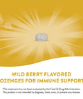 Nature'S Way Zinc Lozenges With Vitamin C & Ecea, Immune Support*, Wild Berry Flavored, 60 Lozenges