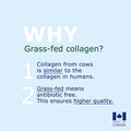 Promise Pure Bovine Collagen European Certified 2000mg of Peptan Extra Strength For Hair, Skin and Nails, For Digestive Health, For Bone Strenght, For Joint Health, Made in Canada (120 +30 FREE caps)
