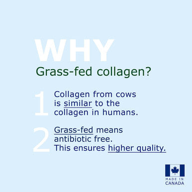 Promise Pure Bovine Collagen European Certified 2000mg of Peptan Extra Strength For Hair, Skin and Nails, For Digestive Health, For Bone Strenght, For Joint Health, Made in Canada (120 +30 FREE caps)