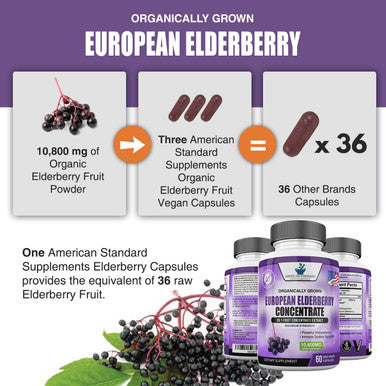 Elderberry European Organic 10,800mg [2 Pack] - Immune Support Immune System Booster, Elderberry Capsule, Black Elderberry for Immunity Support, Alternative to Elderberry Gummies, Elderberry Syrup