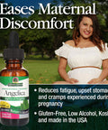 Nature'S Answer Angelica Root 1 Ounce - Organic Low Alcohol Female Wellness Support Gluten- Kosher - Made in USA - Liquid Extract