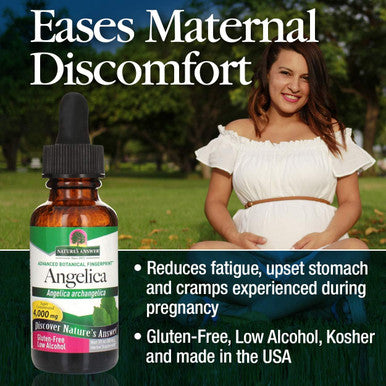 Nature'S Answer Angelica Root 1 Ounce - Organic Low Alcohol Female Wellness Support Gluten- Kosher - Made in USA - Liquid Extract