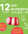Complete Multivitamin Gummies For Adults All-In-One Blend Of Vitamin A B C D E Zinc And Biotin - Adult Vitamin Gummy For Energy And Immunity 90 Delicious Gluten And Veggie Gummies