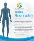 LongLifeNutri Cissus Quadrangularis 1200Mg - 180 Veggie Capsules - Natural Formula For General Wellness And Vitality