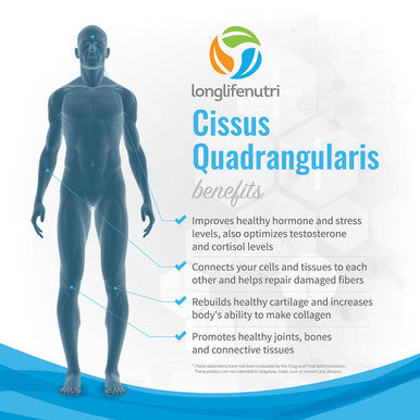 LongLifeNutri Cissus Quadrangularis 1200Mg - 180 Veggie Capsules - Natural Formula For General Wellness And Vitality