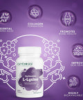 Ambrosial Ambrosial L-lysine | High Strength L-lysine tablets 500mg | Immune Support & Supports Collagen Synthesis | Essential Amino Acids for Active Lifestyle (Pack of 1-120 Tablets)