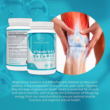 TRUE PROTOCOLS - Vitamin D-K2 Balance - Vitamin D3 (1000 IU) + Vitamin K2 MK7 (120 mcg) + Vitamin A (500 IU) - 120 Bioavailable Softgels For Strong Bones & Improved Muscle Function - 100%