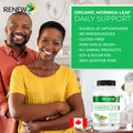 Renew Actives Organic Moringa Leaf Supplement: 800Mg Daily Serving - High Potency Moringa Capsules - Green Superfood & Antioxidant Support Against Free Radical Damage- 120 Vegan Capsules