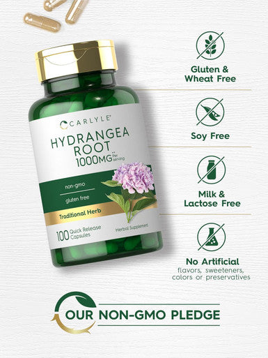 Carlyle Hydrangea Root Capsules | 1000mg | 100 Count | Non-GMO Gluten Extract