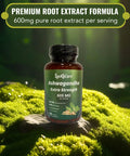 Luckycare Ashwagandha Capsules 600mg Extra Strength Root Extract with Black Pepper Vegan Non GMO Supplement Made in USA 120 Capsules