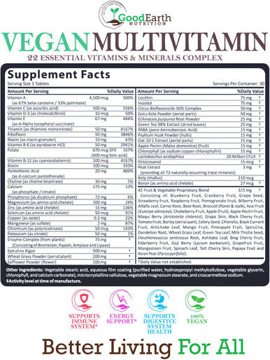 Vegan Multivitamins For Men & Women - Vitamins A , B Complex , C , D3 , Zinc , Magnesium , Spirulina , Antioxidants - Daily Multivitamin Mineral Supplement With Proprietary Fruit & Vegetable Blend