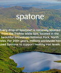 4 PACK Spatone Spatone 100% Natural Iron Sup 28 sachet 4 PACK BUNDLE