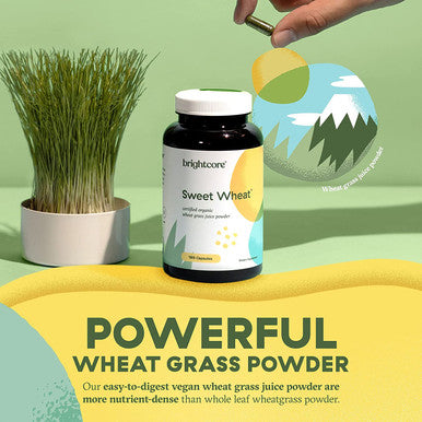 Brightcore Nutrition Sweet Wheat Immune Boost Pack of 2 x 180 Wheatgrass Juice Powder Capsules