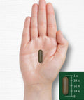 Carlyle Triphala Capsules 1500mg 180 Count