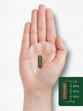Carlyle Triphala Capsules 1500mg 180 Count