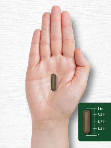 Carlyle Triphala Capsules 1500mg 180 Count