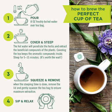 Traditional Medicinals Ginger 16 Tea Bags