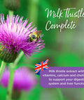 Healthspan Milk Thistle Complete | 120 Tablets | 50mg Milk Thistle Extract | B Vitamins | Calcium | Choline |